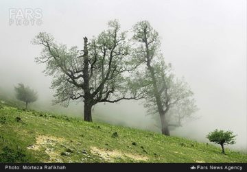 استان ها-گیلان-طبیعت بهاری ماسال