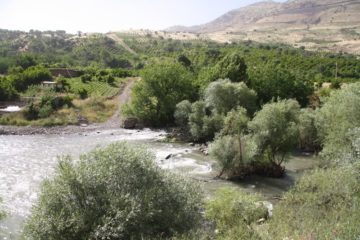 استان ها-کرمانشاه-روستای پالنگان