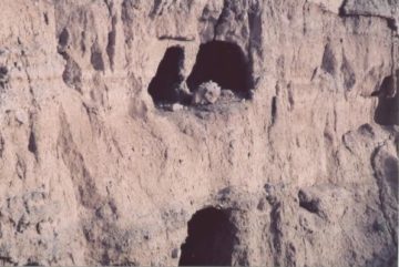 خراسان شمالی-شیروان-غارهای هنامه-1387