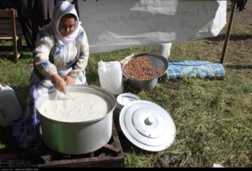 استان ها-گیلان-نخستین جشنواره دشت شقایق تالش