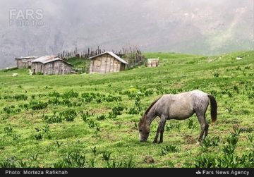 استان ها-گیلان-طبیعت بهاری ماسال