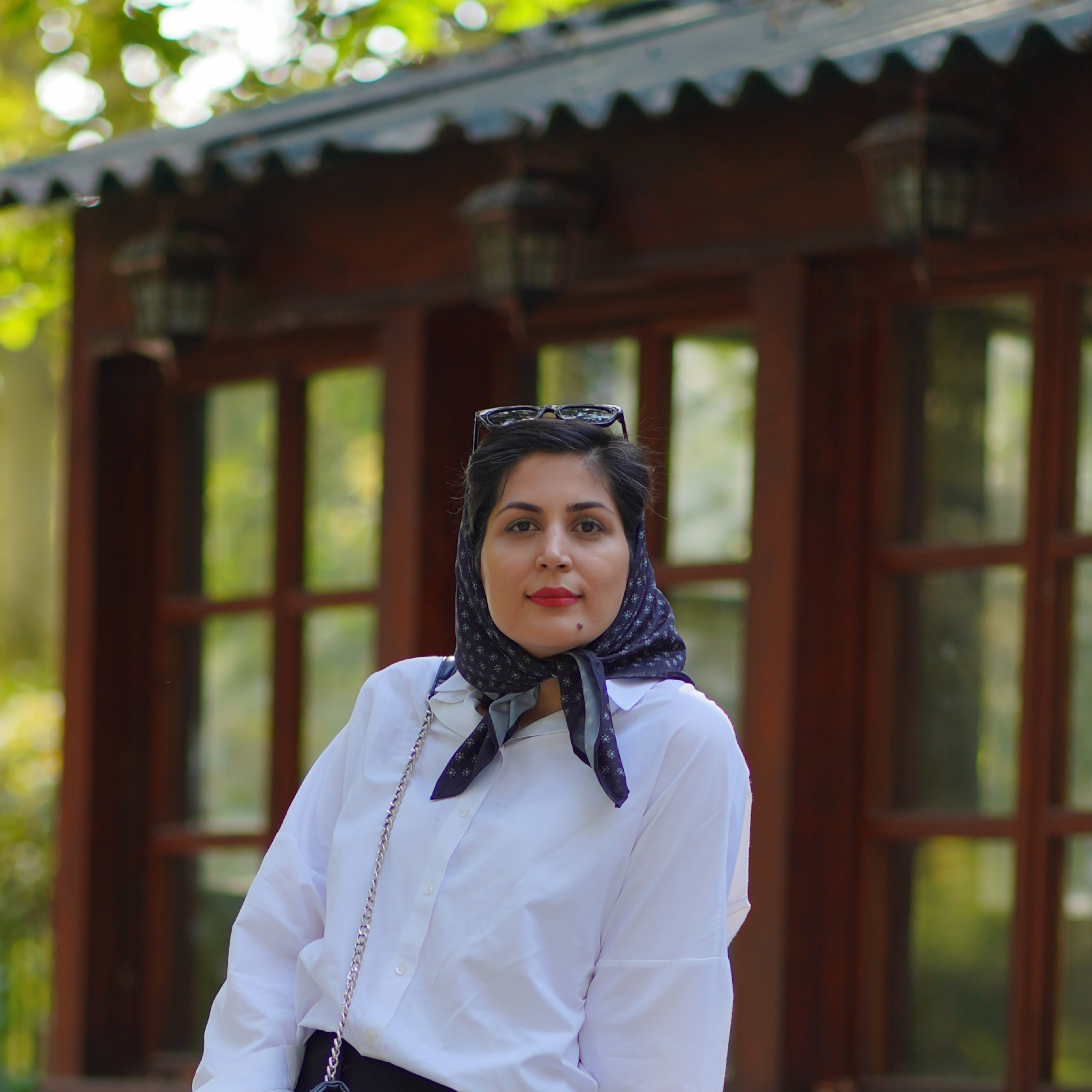 دربارۀ این مقاله بیشتر بخوانید دایانا عبدالعلی زاده
